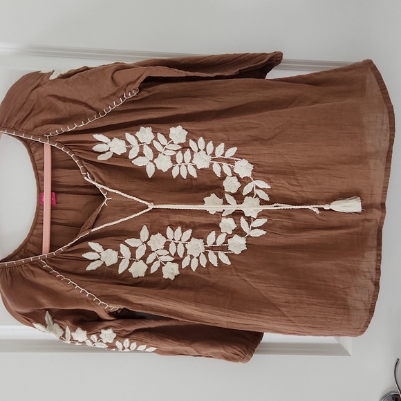 Raj Earthy Brown Blouse with Cream Embroidery - Picture 1 of 3